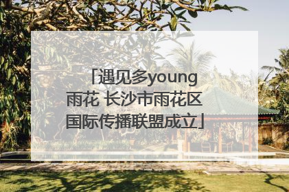 遇见多young雨花 长沙市雨花区国际传播联盟成立