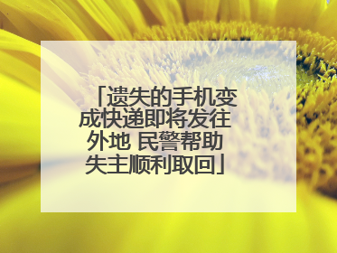 遗失的手机变成快递即将发往外地 民警帮助失主顺利取回