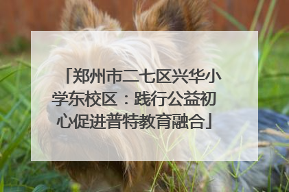 郑州市二七区兴华小学东校区：践行公益初心促进普特教育融合
