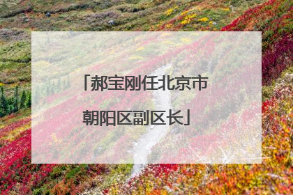 郝宝刚任北京市朝阳区副区长