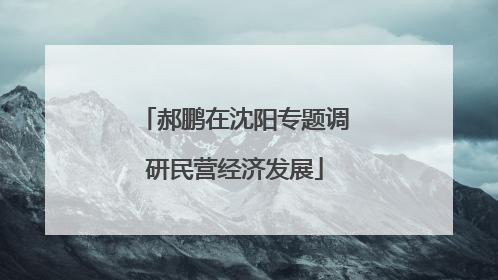 郝鹏在沈阳专题调研民营经济发展