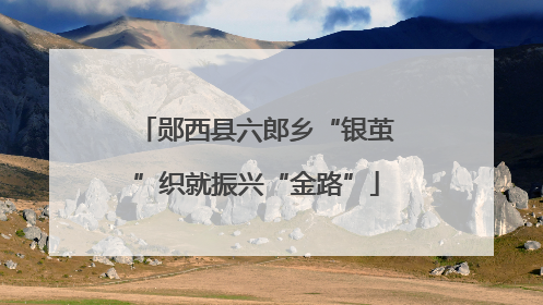 郧西县六郎乡“银茧”织就振兴“金路”
