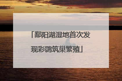 鄱阳湖湿地首次发现彩鹮筑巢繁殖