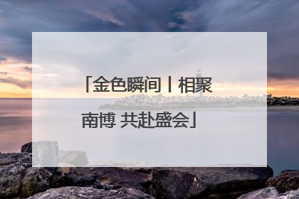 金色瞬间丨相聚南博 共赴盛会