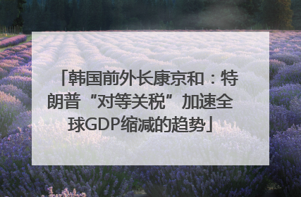 韩国前外长康京和：特朗普“对等关税”加速全球GDP缩减的趋势