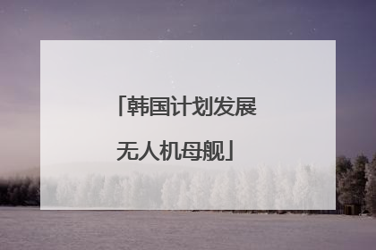 韩国计划发展无人机母舰