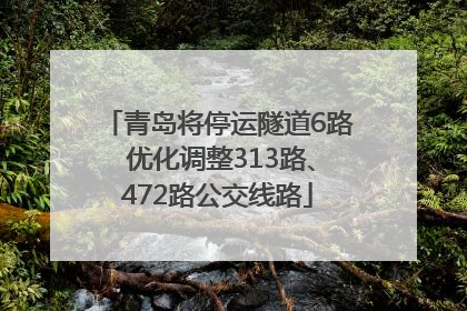 青岛将停运隧道6路 优化调整313路、472路公交线路