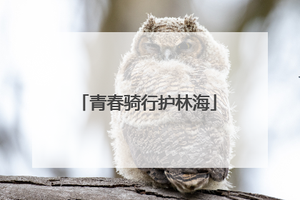 青春骑行护林海