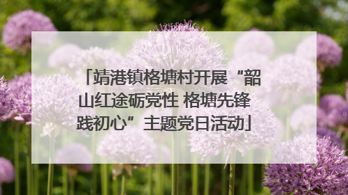 靖港镇格塘村开展“韶山红途砺党性 格塘先锋践初心”主题党日活动