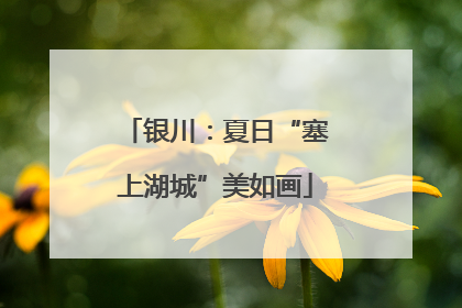 银川：夏日“塞上湖城”美如画