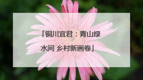 铜川宜君：青山绿水间 乡村新画卷