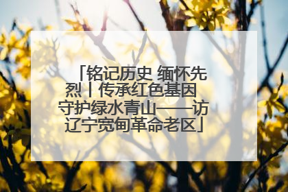 铭记历史 缅怀先烈丨传承红色基因 守护绿水青山——访辽宁宽甸革命老区