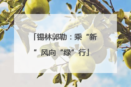锡林郭勒：乘“新”风向“绿”行