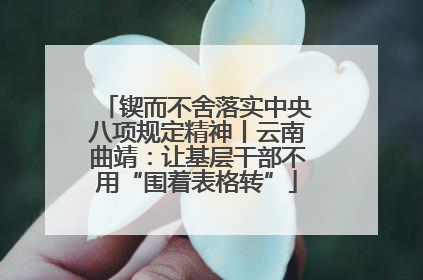 锲而不舍落实中央八项规定精神丨云南曲靖：让基层干部不用“围着表格转”