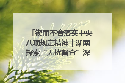 锲而不舍落实中央八项规定精神｜湖南探索“无扰督查”深化基层减负
