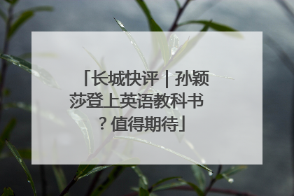 长城快评｜孙颖莎登上英语教科书？值得期待