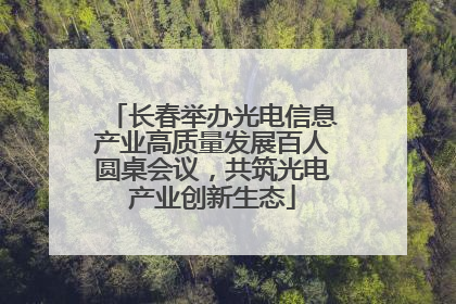 长春举办光电信息产业高质量发展百人圆桌会议，共筑光电产业创新生态