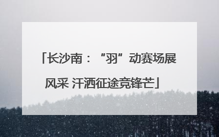 长沙南：“羽”动赛场展风采 汗洒征途竞锋芒