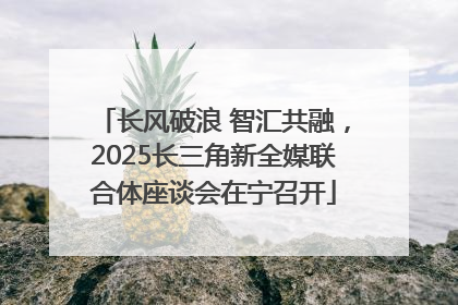 长风破浪 智汇共融，2025长三角新全媒联合体座谈会在宁召开