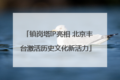 镇岗塔IP亮相 北京丰台激活历史文化新活力