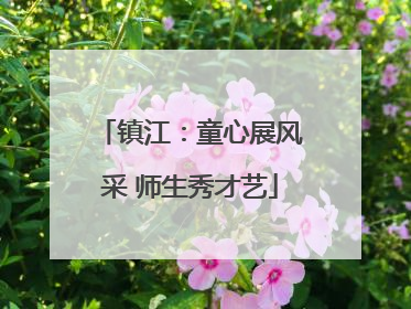 镇江：童心展风采 师生秀才艺