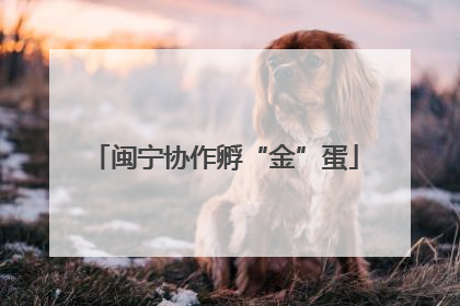 闽宁协作孵“金”蛋