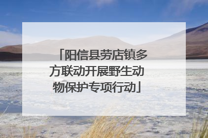 阳信县劳店镇多方联动开展野生动物保护专项行动