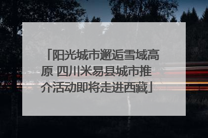 阳光城市邂逅雪域高原 四川米易县城市推介活动即将走进西藏