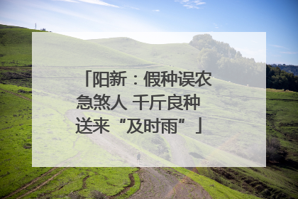 阳新：假种误农急煞人 千斤良种送来“及时雨”