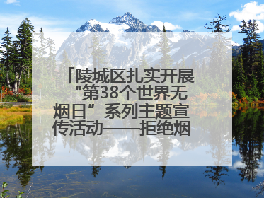 陵城区扎实开展“第38个世界无烟日”系列主题宣传活动——拒绝烟草诱惑 对第一支烟说不