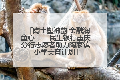 陶土塑神韵 金融润童心——民生银行重庆分行志愿者助力陶家镇小学美育计划