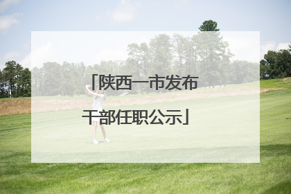 陕西一市发布干部任职公示