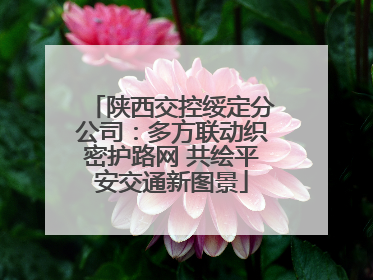 陕西交控绥定分公司：多方联动织密护路网 共绘平安交通新图景