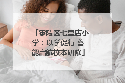 零陵区七里店小学：以学促行 蓄能启航校本研修