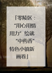 零陵区：“用心用情用力”绘就“中药香”特色小镇新画卷