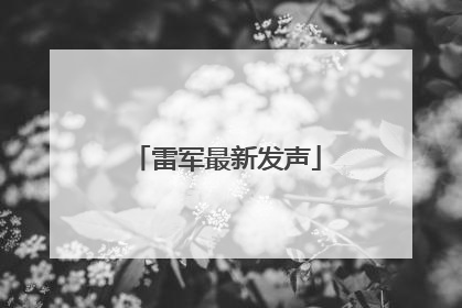 雷军最新发声