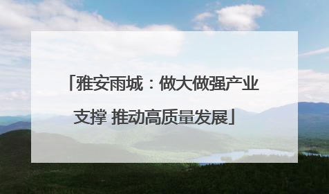 雅安雨城：做大做强产业支撑 推动高质量发展