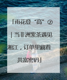 雨花登“高”②｜当非洲紫茶遇见湘江，订单里藏着共富密码