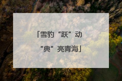 雪豹“跃”动 “典”亮青海