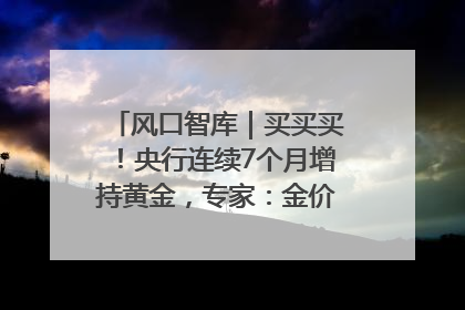 风口智库｜买买买！央行连续7个月增持黄金，专家：金价或仍易涨难跌