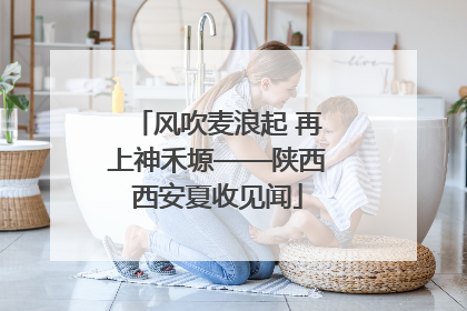 风吹麦浪起 再上神禾塬——陕西西安夏收见闻