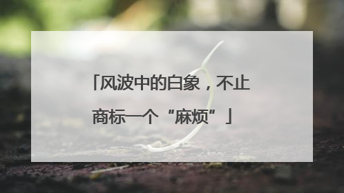 风波中的白象，不止商标一个“麻烦”