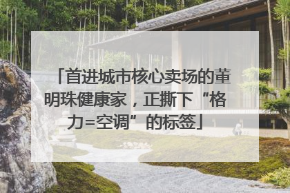 首进城市核心卖场的董明珠健康家，正撕下“格力=空调”的标签