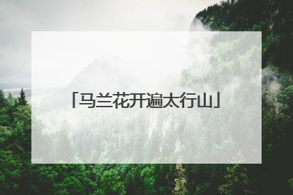 马兰花开遍太行山