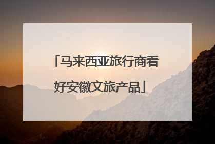 马来西亚旅行商看好安徽文旅产品