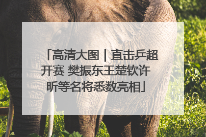 高清大图｜直击乒超开赛 樊振东王楚钦许昕等名将悉数亮相