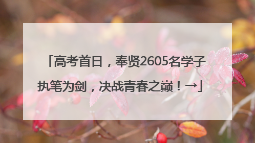 高考首日，奉贤2605名学子执笔为剑，决战青春之巅！→