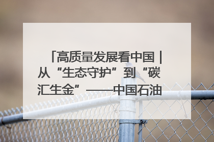 高质量发展看中国｜从“生态守护”到“碳汇生金”——中国石油大庆油田绿色蝶变