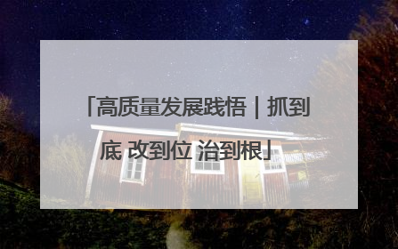 高质量发展践悟｜抓到底 改到位 治到根