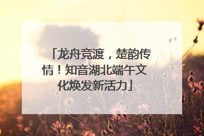 龙舟竞渡，楚韵传情！知音湖北端午文化焕发新活力